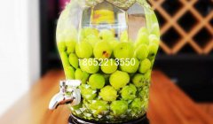 玻璃酵素瓶制作方法是什么？酵素的好處是什么？